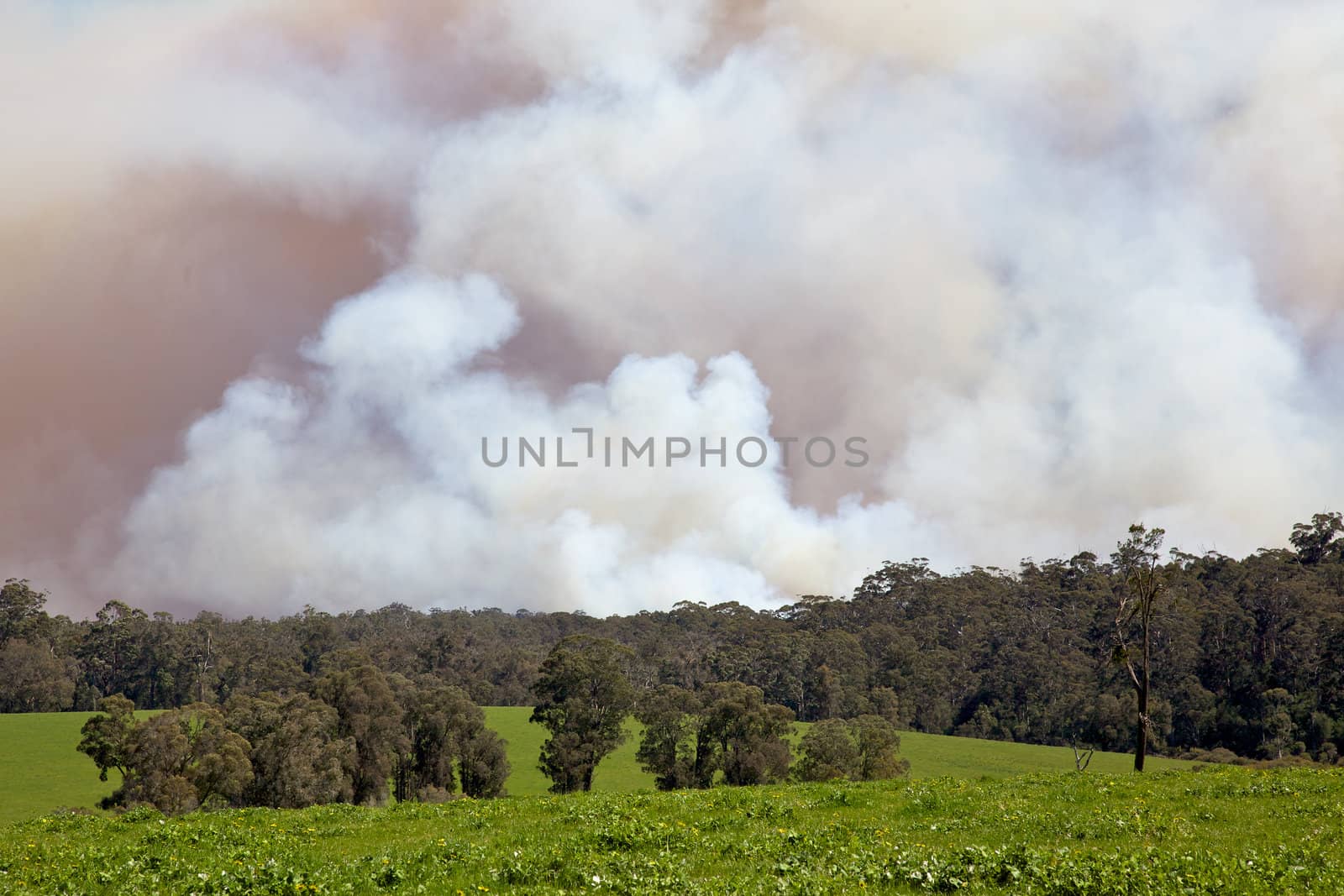 A forest fire near the town of Pemberton in Western Australia.