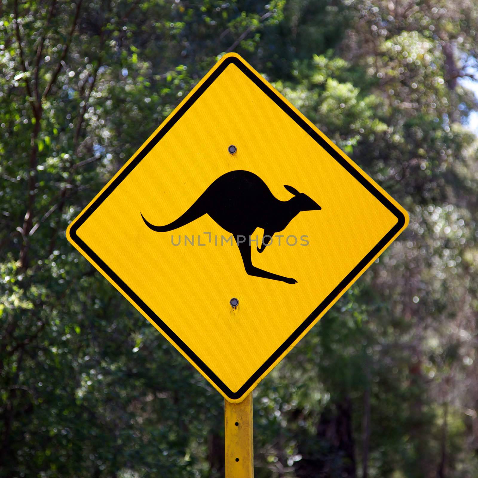 A roadside kangaroo warning sign in rural Australia.