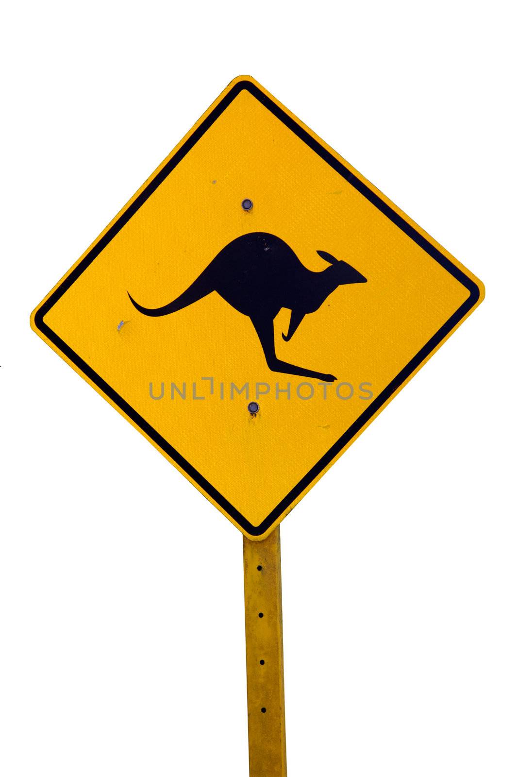 A roadside kangaroo warning sign in rural Australia.