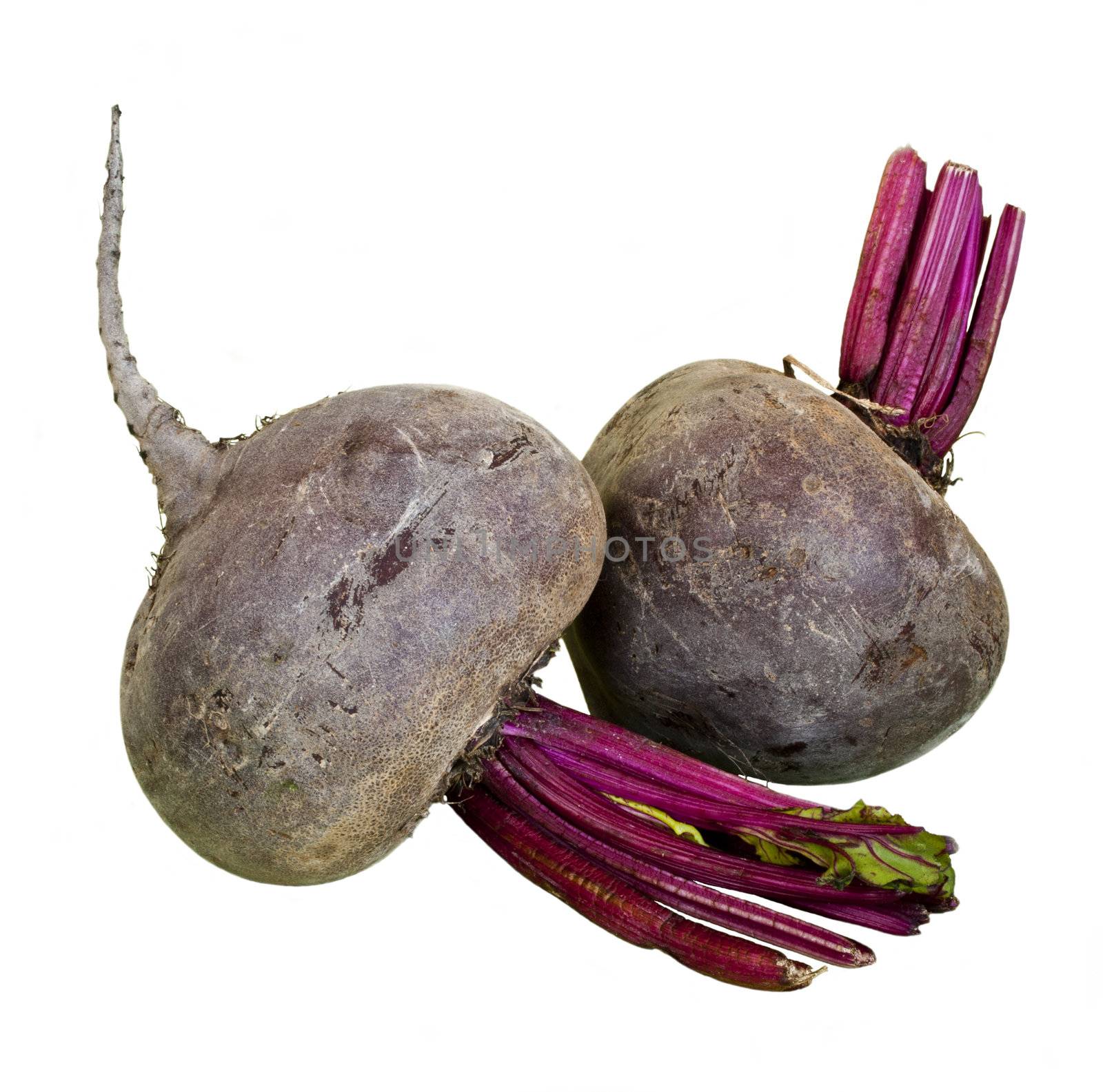 Two beet isolated over white background
