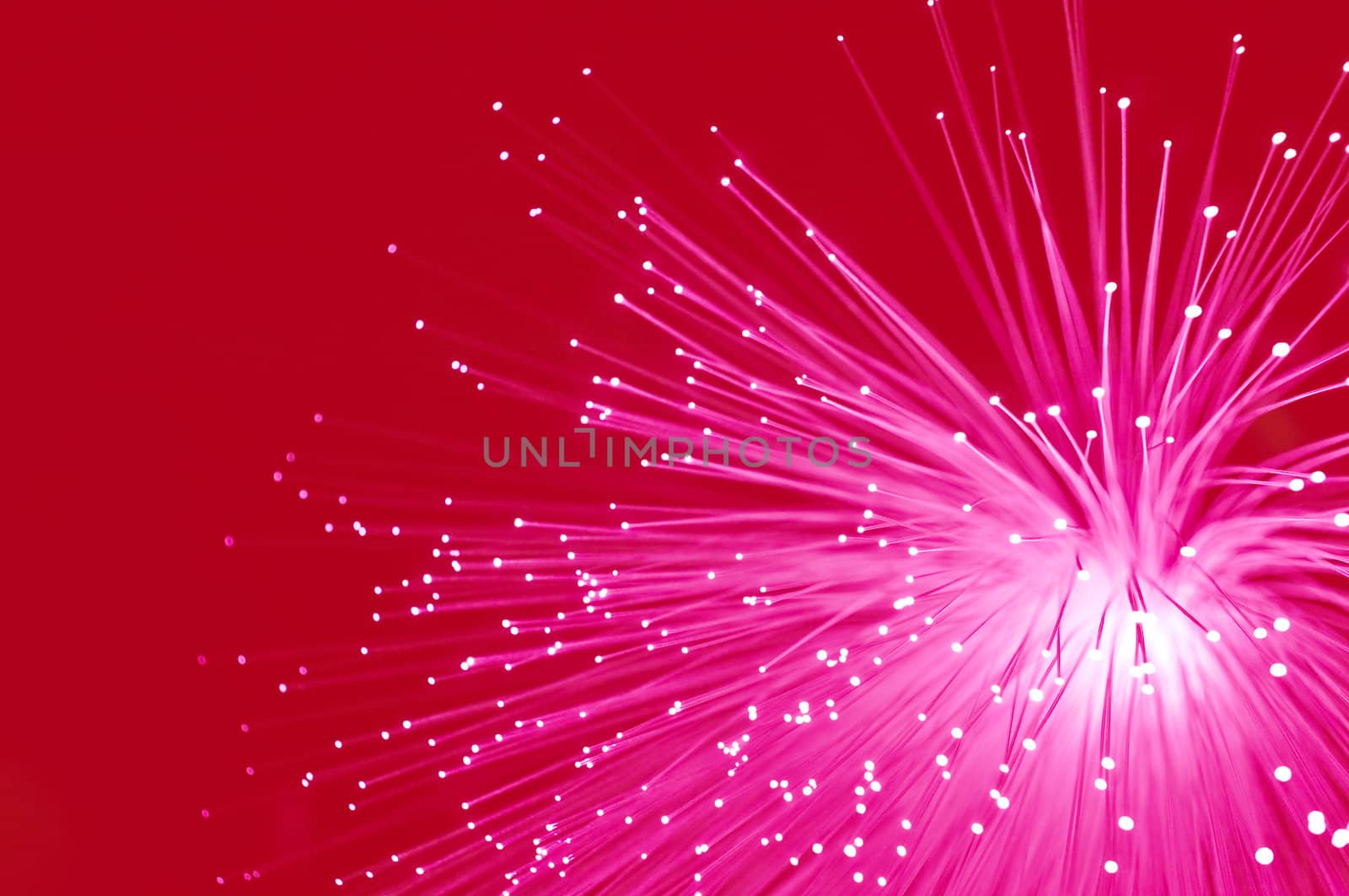 Abstract style close up capturing bright pink illuminated fibre optic light strands against a bright red background.