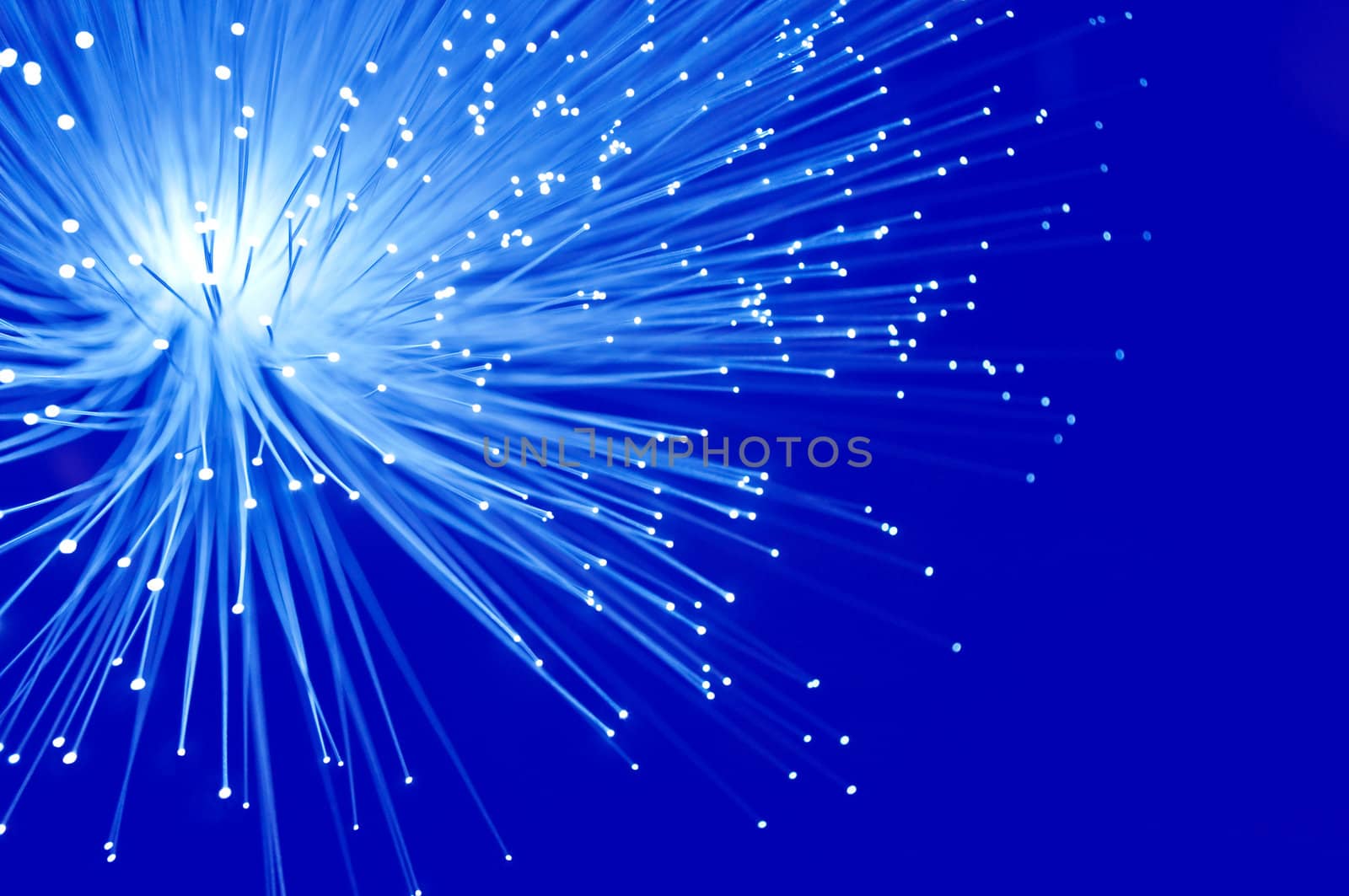 Close up capturing illuminated blue fibre optic light strands against a vibrant blue background.