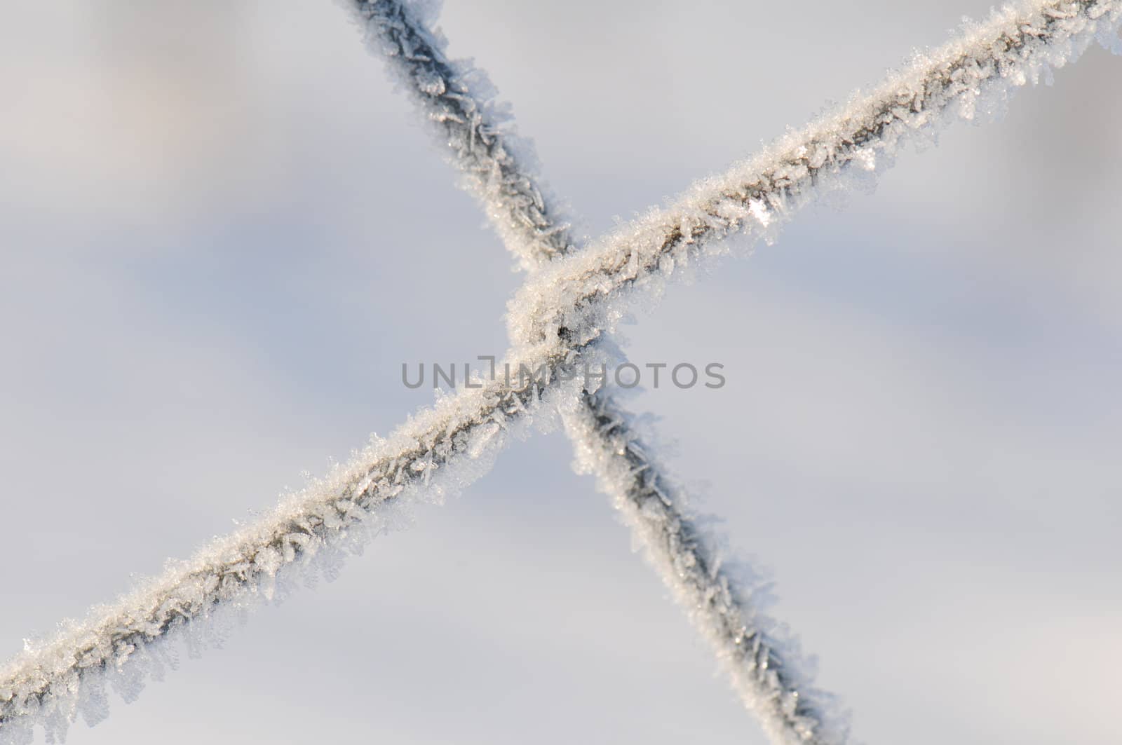 Frost on a wire fence in close-up