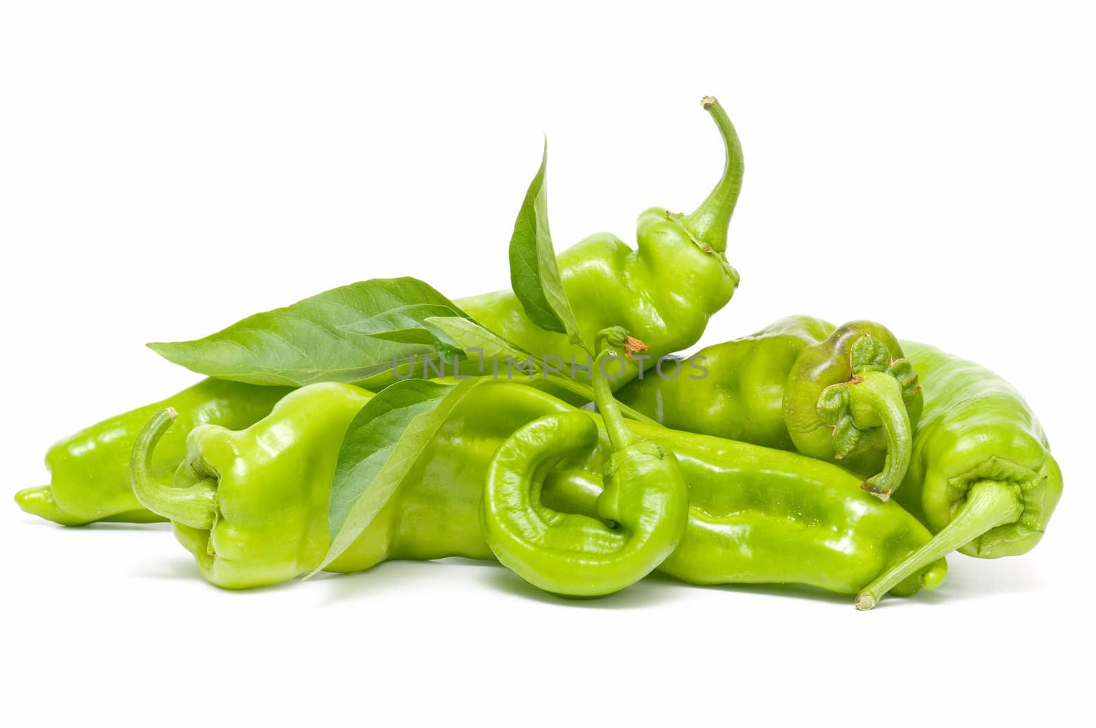 freshly harvested green peppers on a white background
