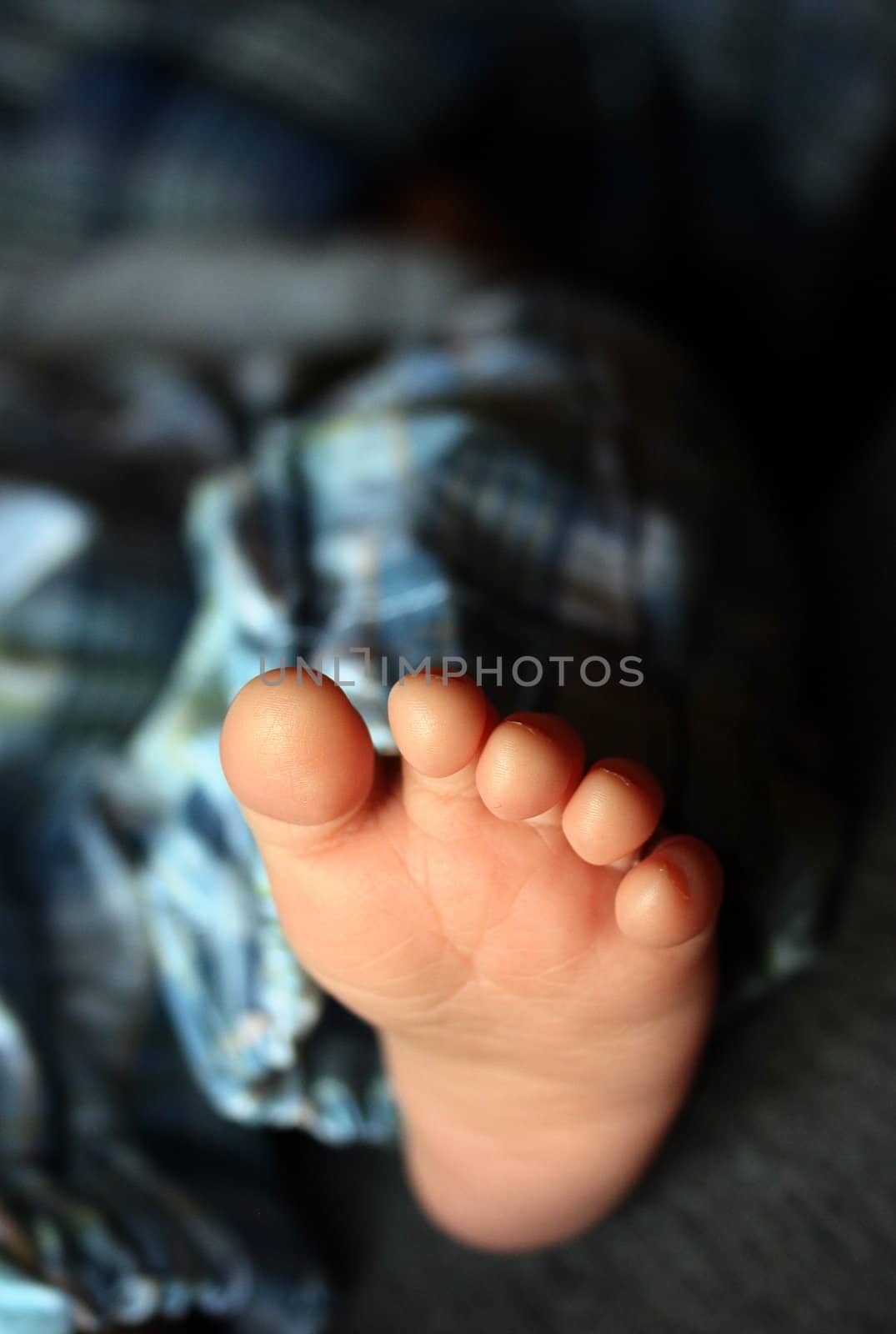 The foot of a newborn baby