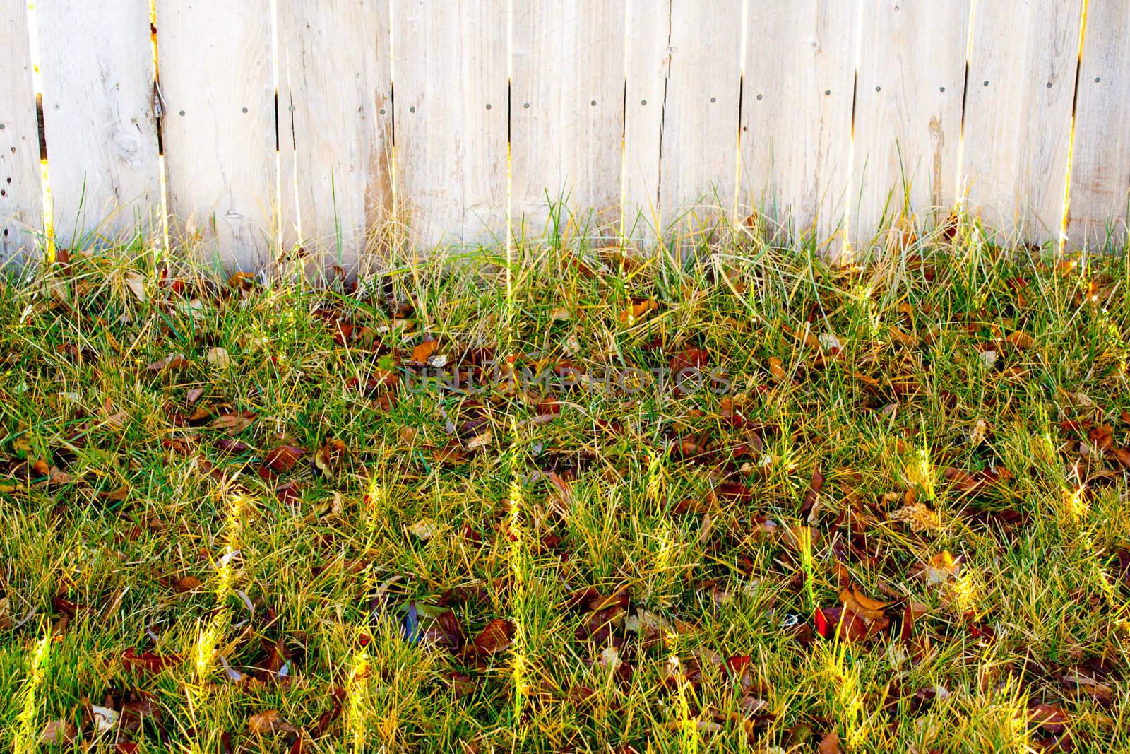 A picture of some grass and a fence.