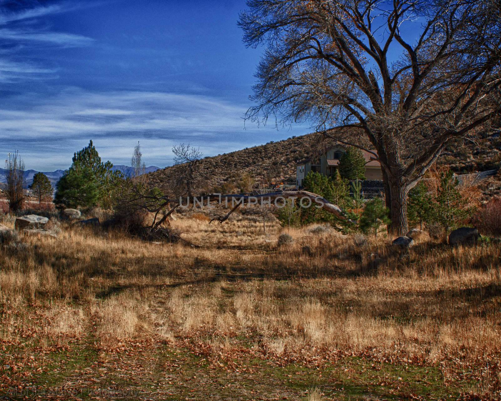 An HDR nature scene.