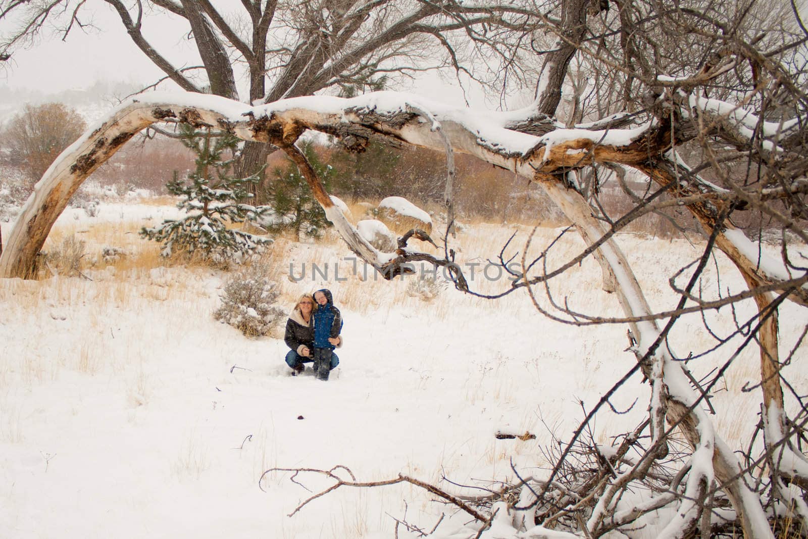 A mother and son sitting underneath a tree.