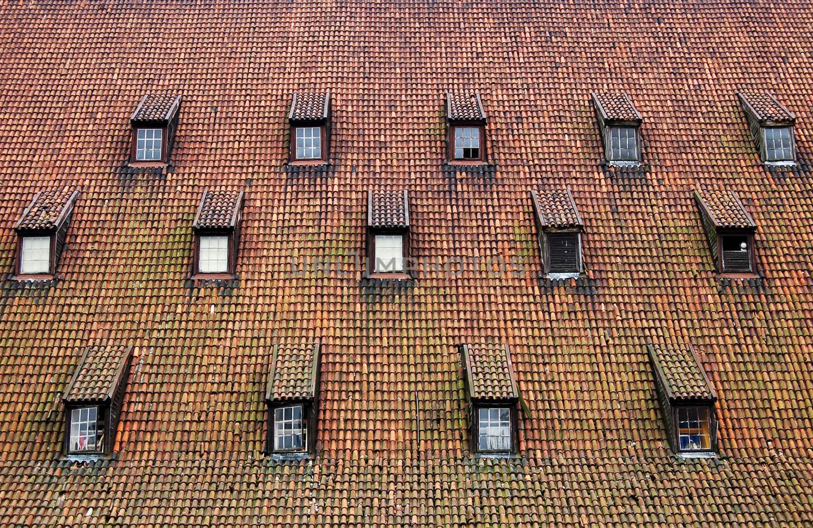 Old roof with many windows