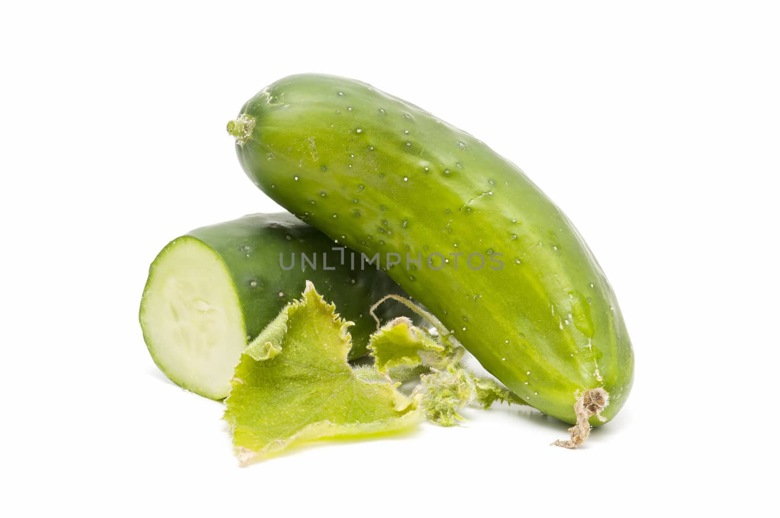 freshly harvested cucumbers on white background
