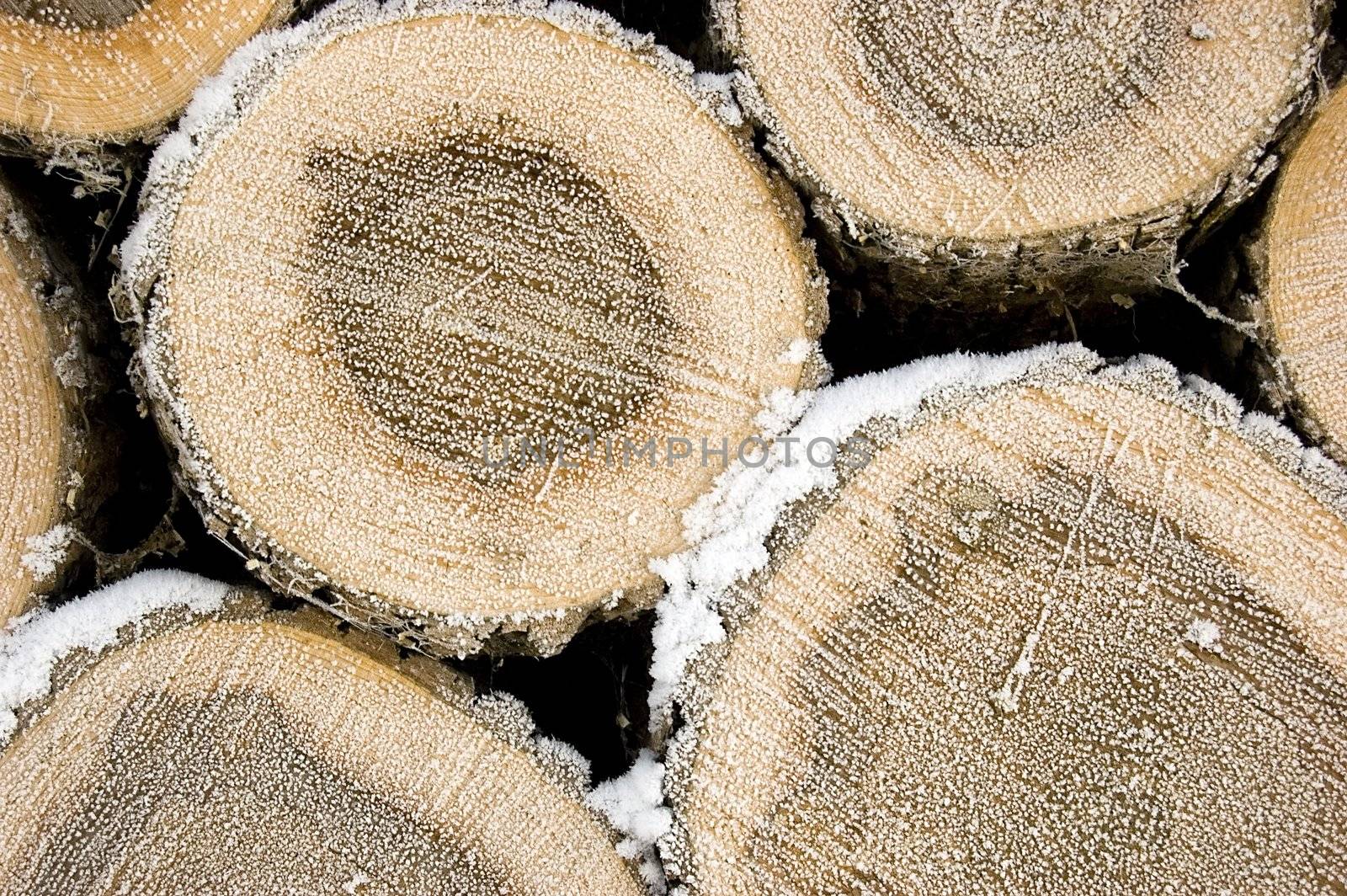 Pile of frozen logs for firewoods