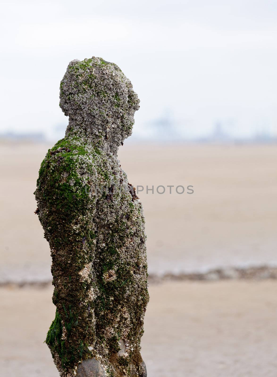 CROSBY BEACH, ENGLAND - SEPTEMBER 24: Statues forming Another Place by Antony Gormley on Crosby Beach on September 24, 2011. The statues are slowly rusting away with the tides and wind.