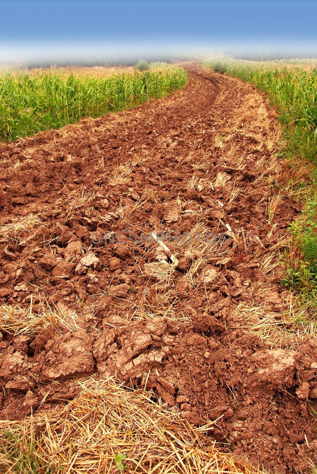 plowed field, ploughed brown earth rural landscape