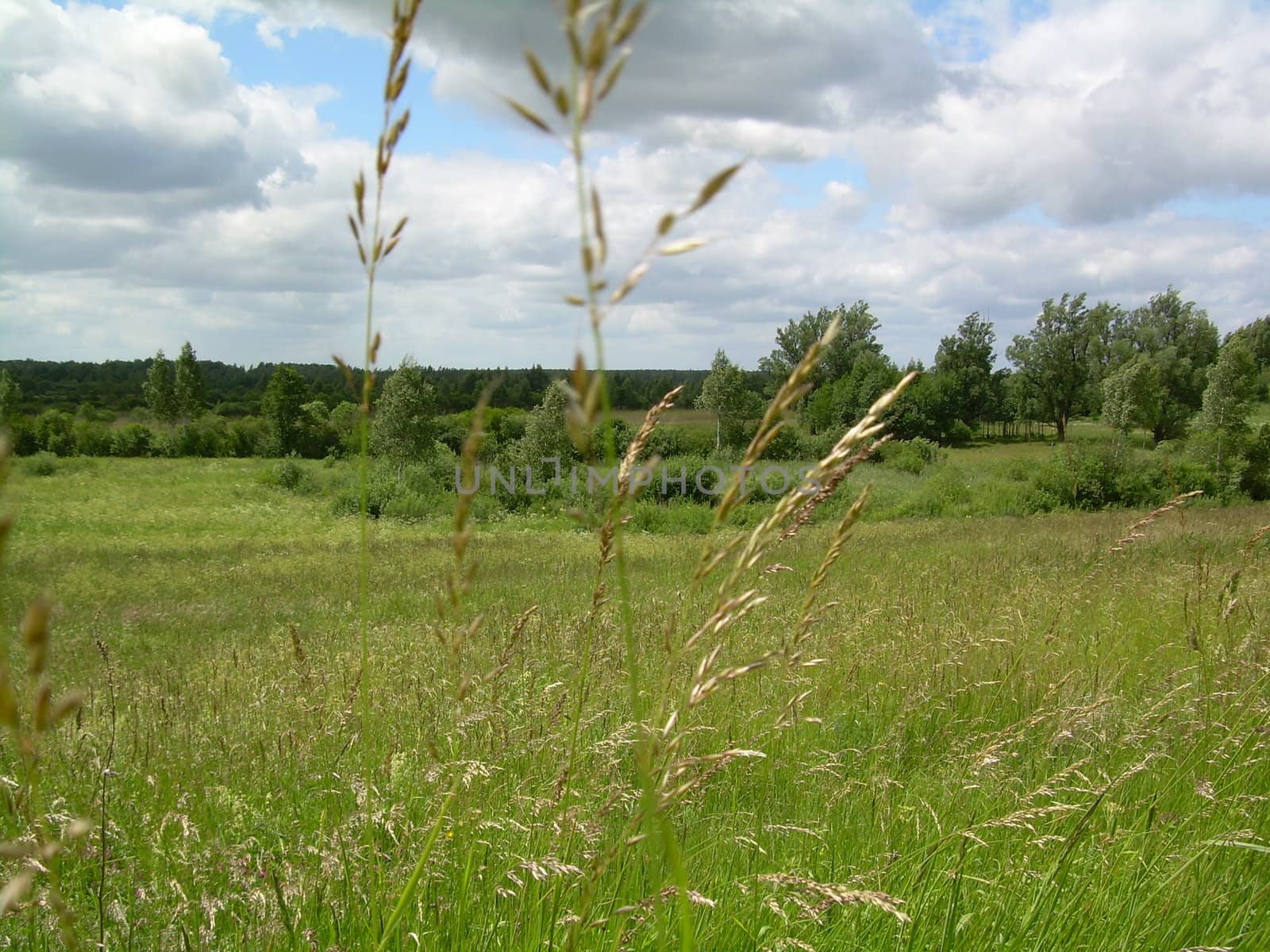 landscape, plains, elevation, green landscape, valleys, hills, berms 