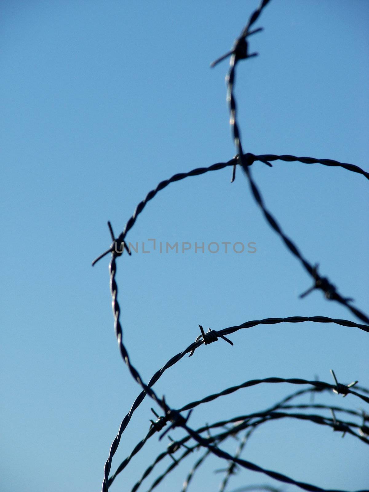 Barbed wire 3 by Thorvis