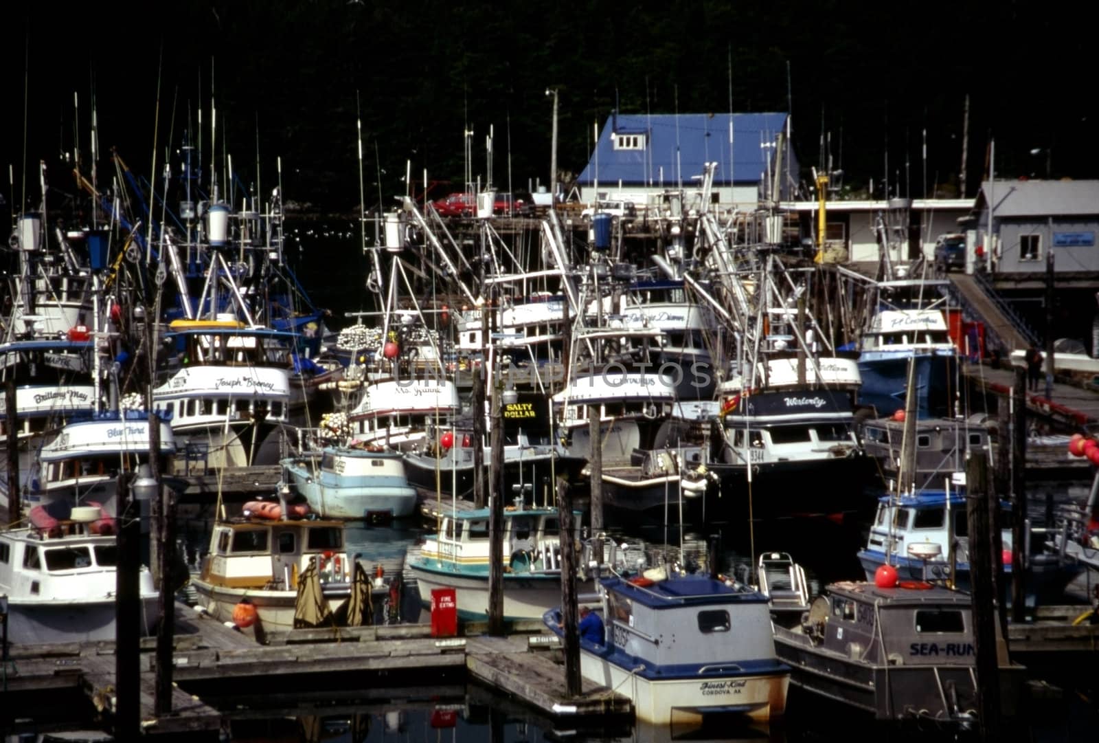 Harbor, Cordova,Alaska