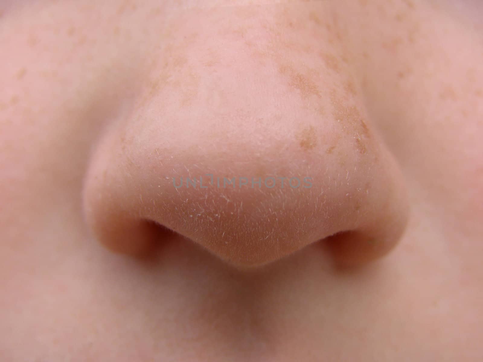 on this children's nose with the freckles is the clean pink skin, not damaged with years by wrinkles and pimples. 