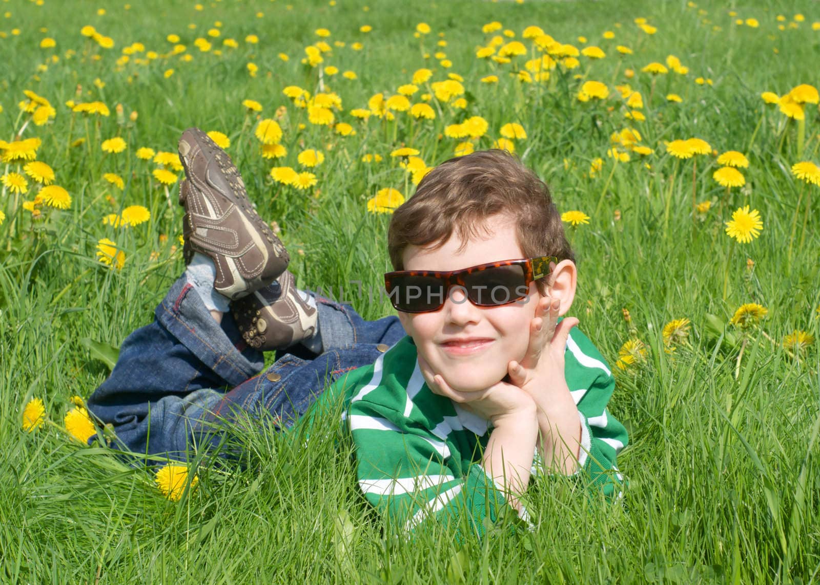 The boy is on the grass with dandelions
