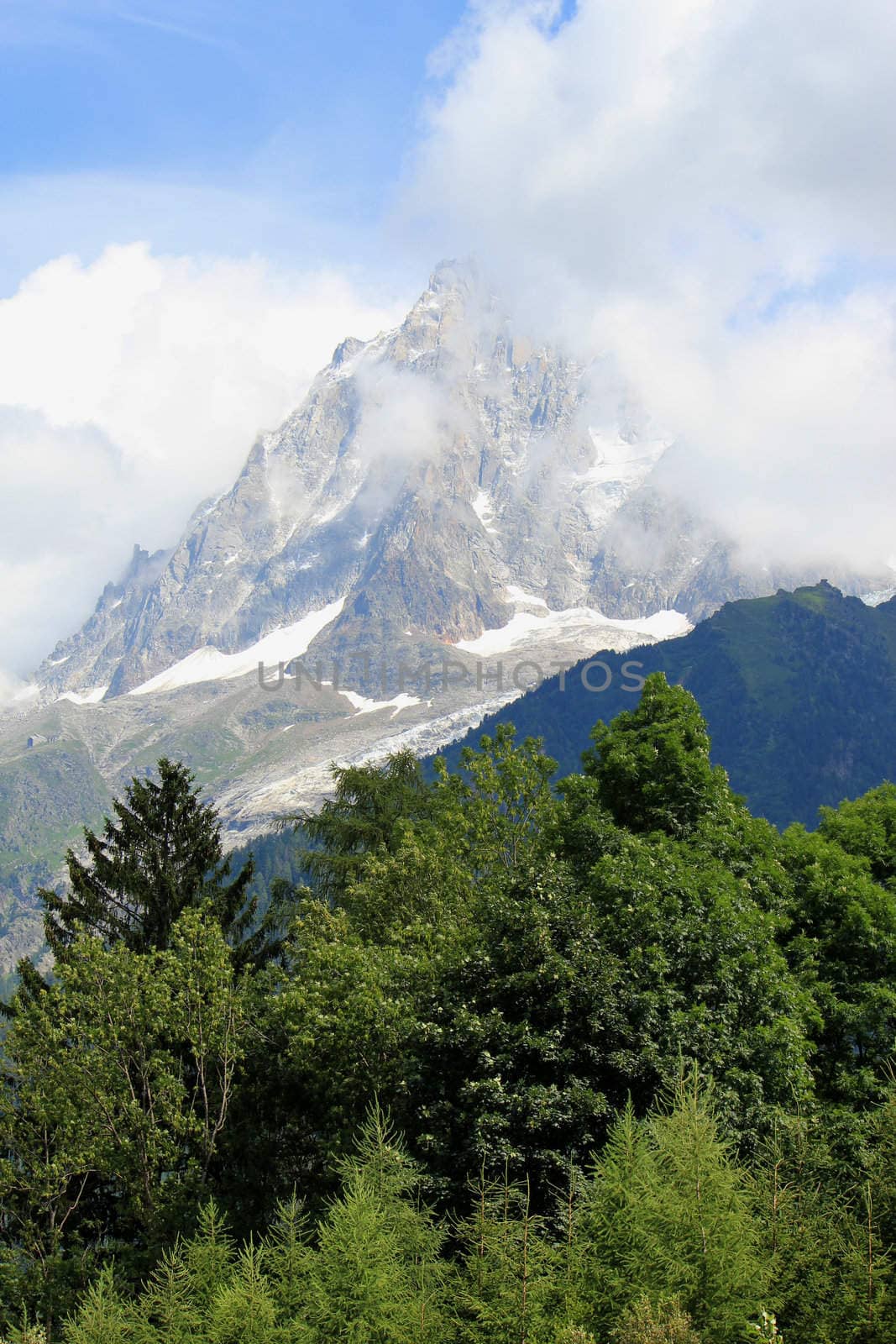 View of the Mont-Blanc massif behind a forest, France, by cloudy weather