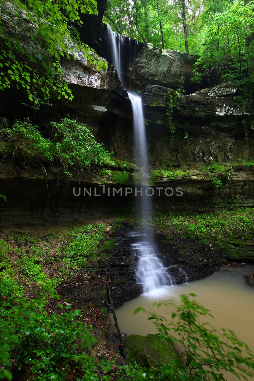 Waterfall flows into a deep canyon in the woodland of northern Alabama.