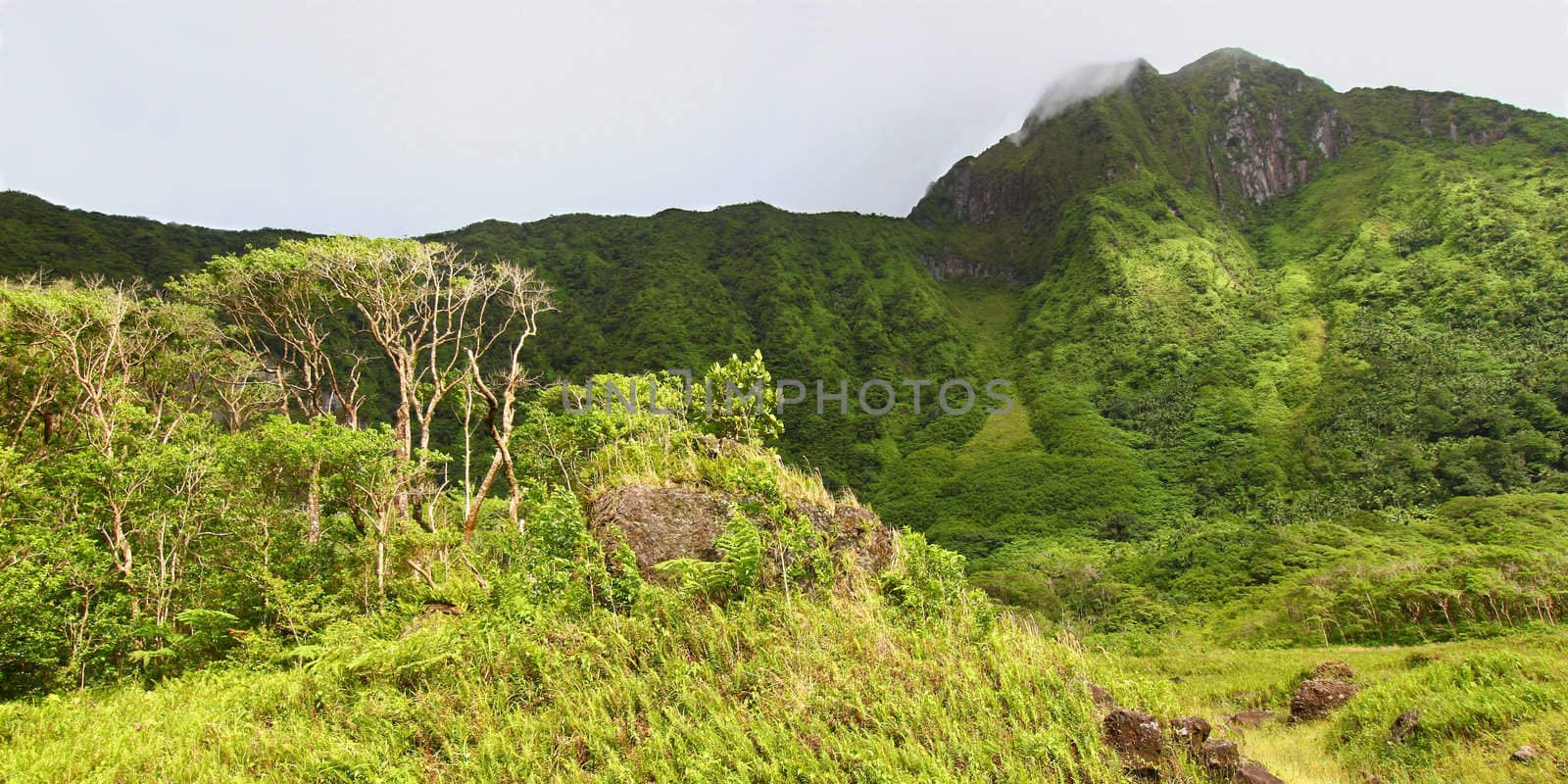 View of Mount Liamuiga from the bottom of The Crater of Saint Kitts.