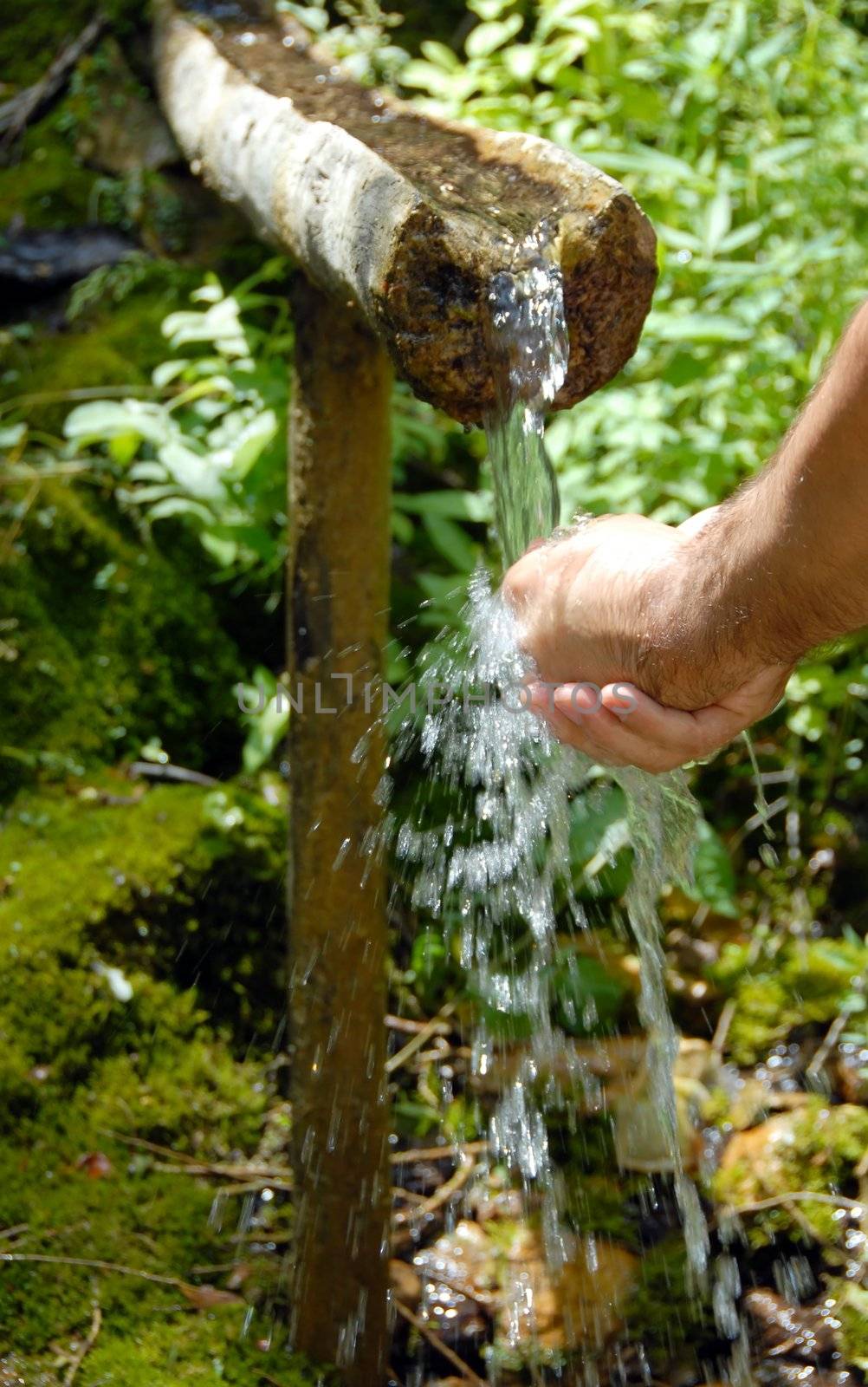 man washing his hands by spring water under wooden gutter over green natural background