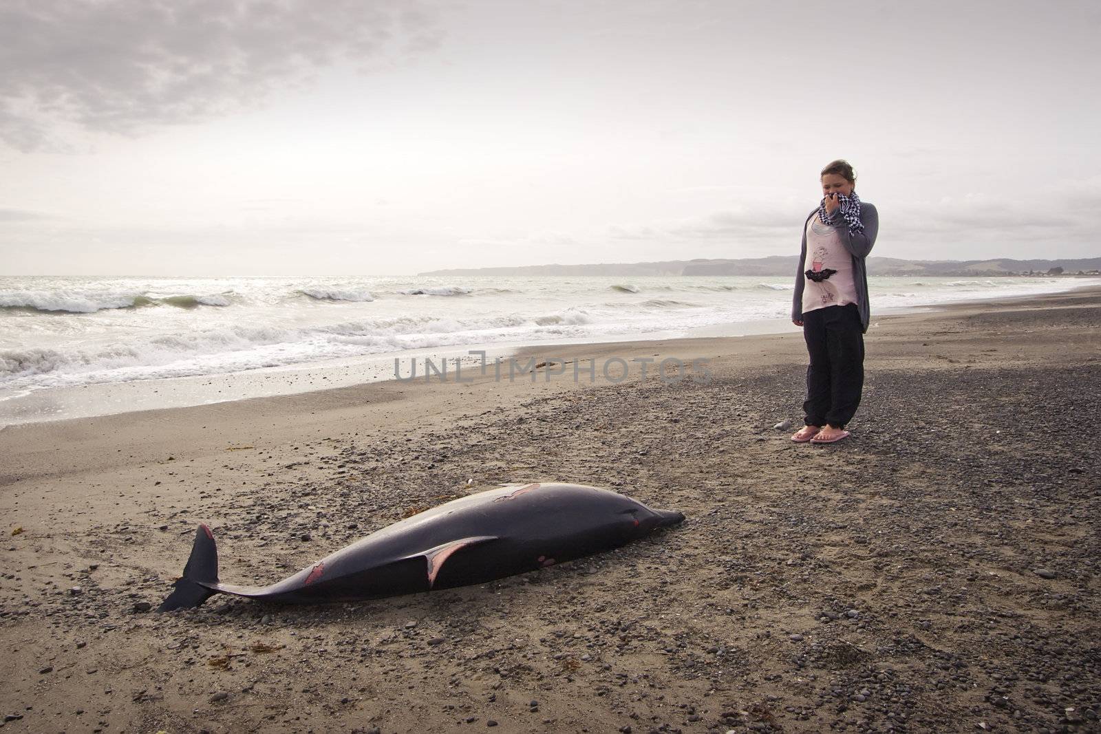 A young lady looks at a dolphin found washed up on Haumoana Beach, Hawkes Bay, New Zealand