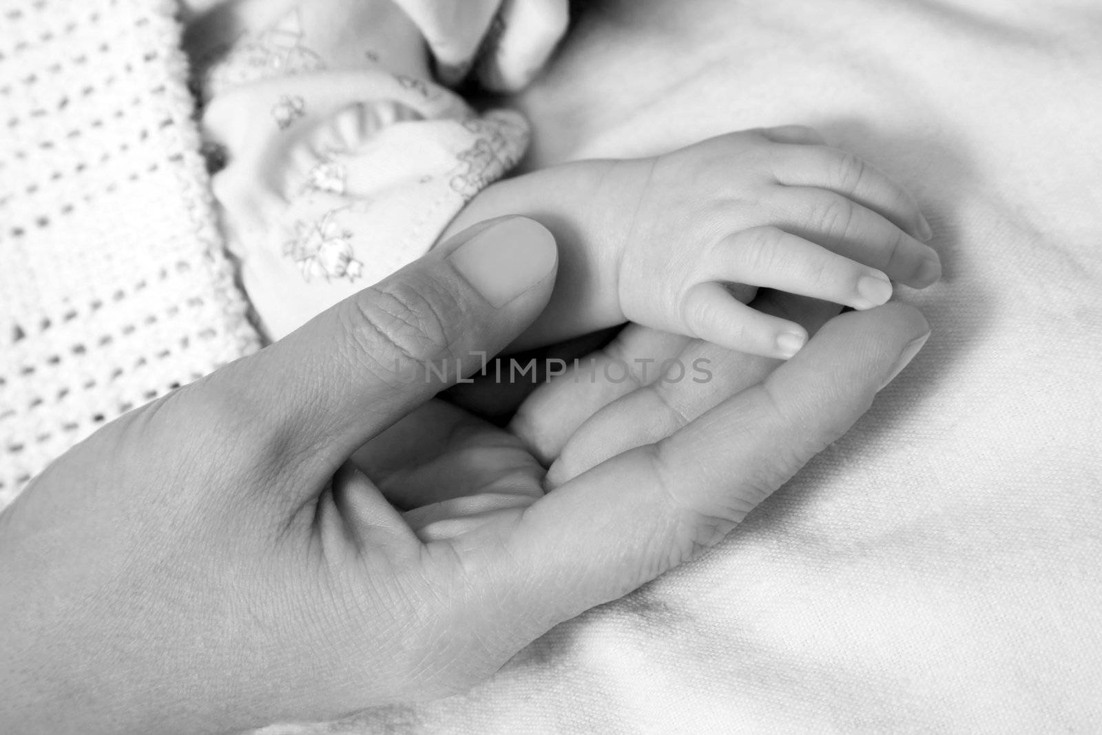 The image of hands of parents and the child