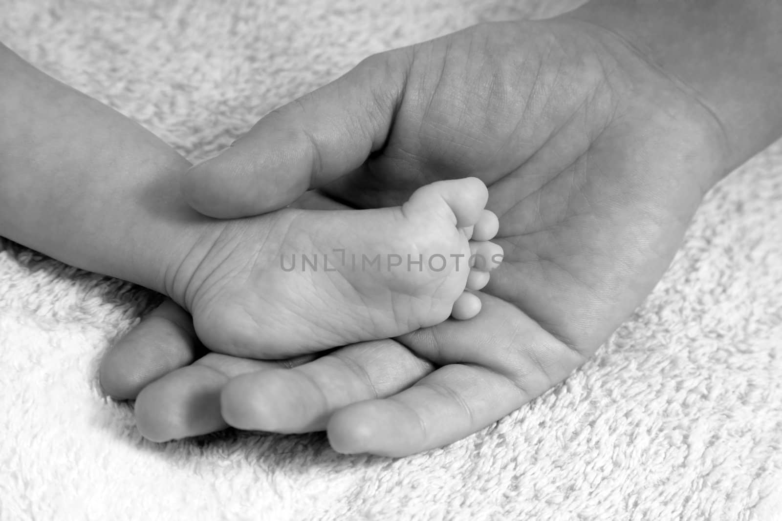 Parents hand hold baby girl legs