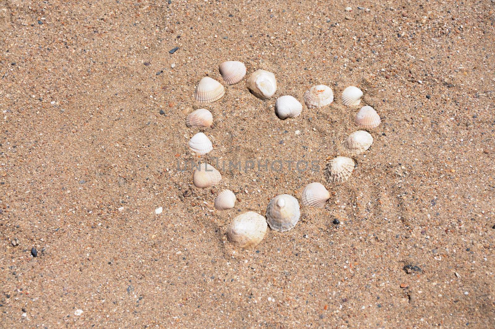 Heart built from different Bivalvia at the beach