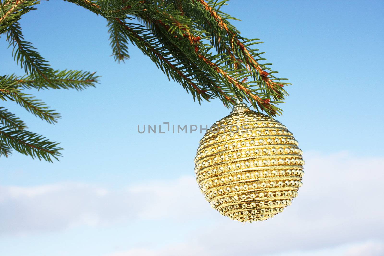 golden bauble on christmas tree by photochecker