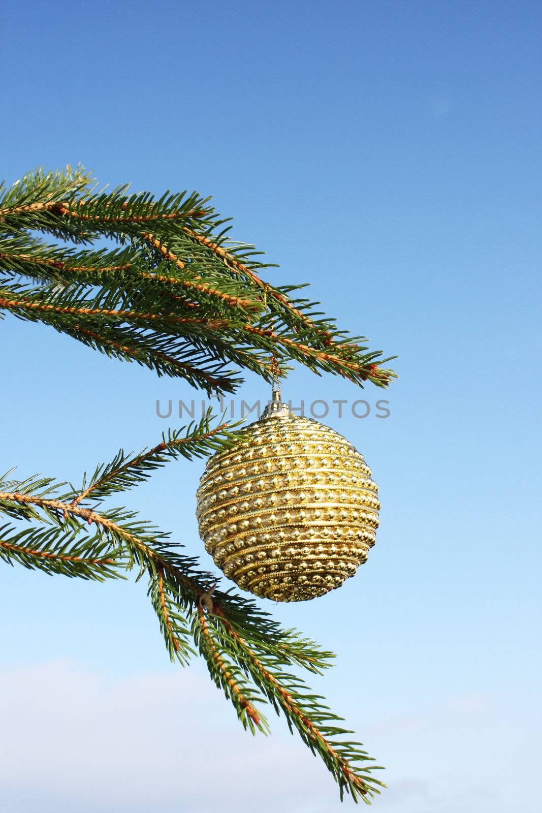 christmas bauble on christmas tree