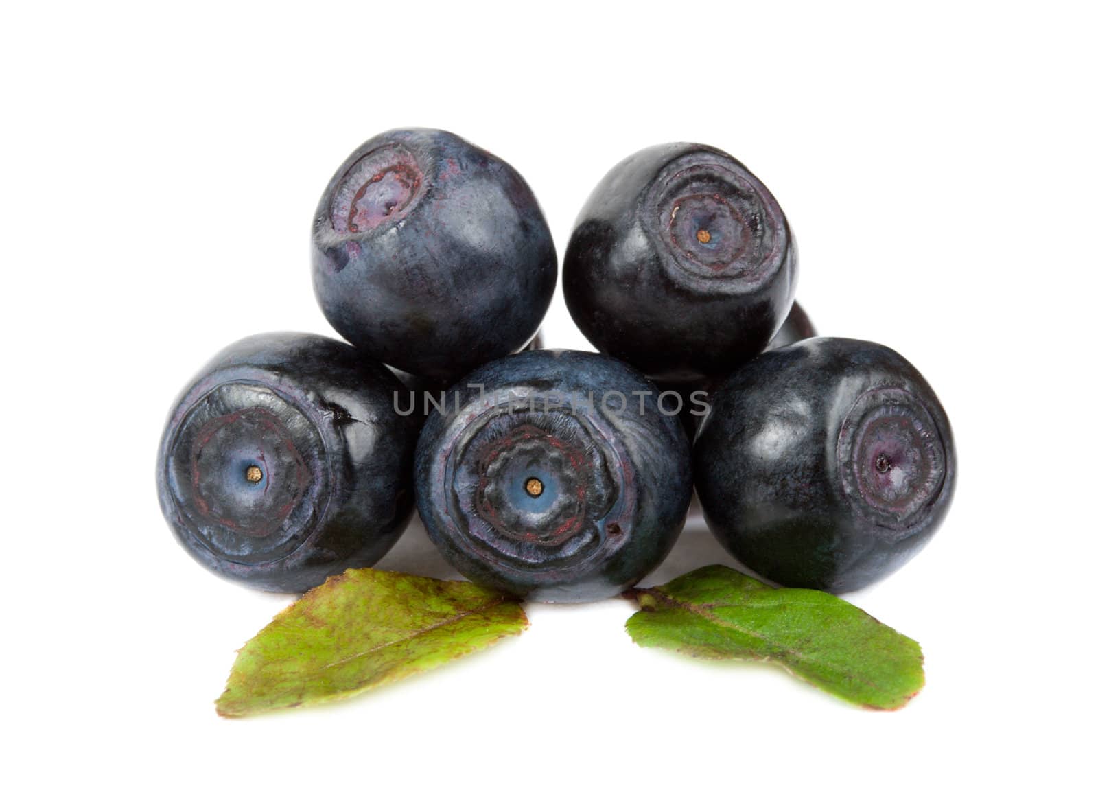 close-up heap of bilberries, isolated on white