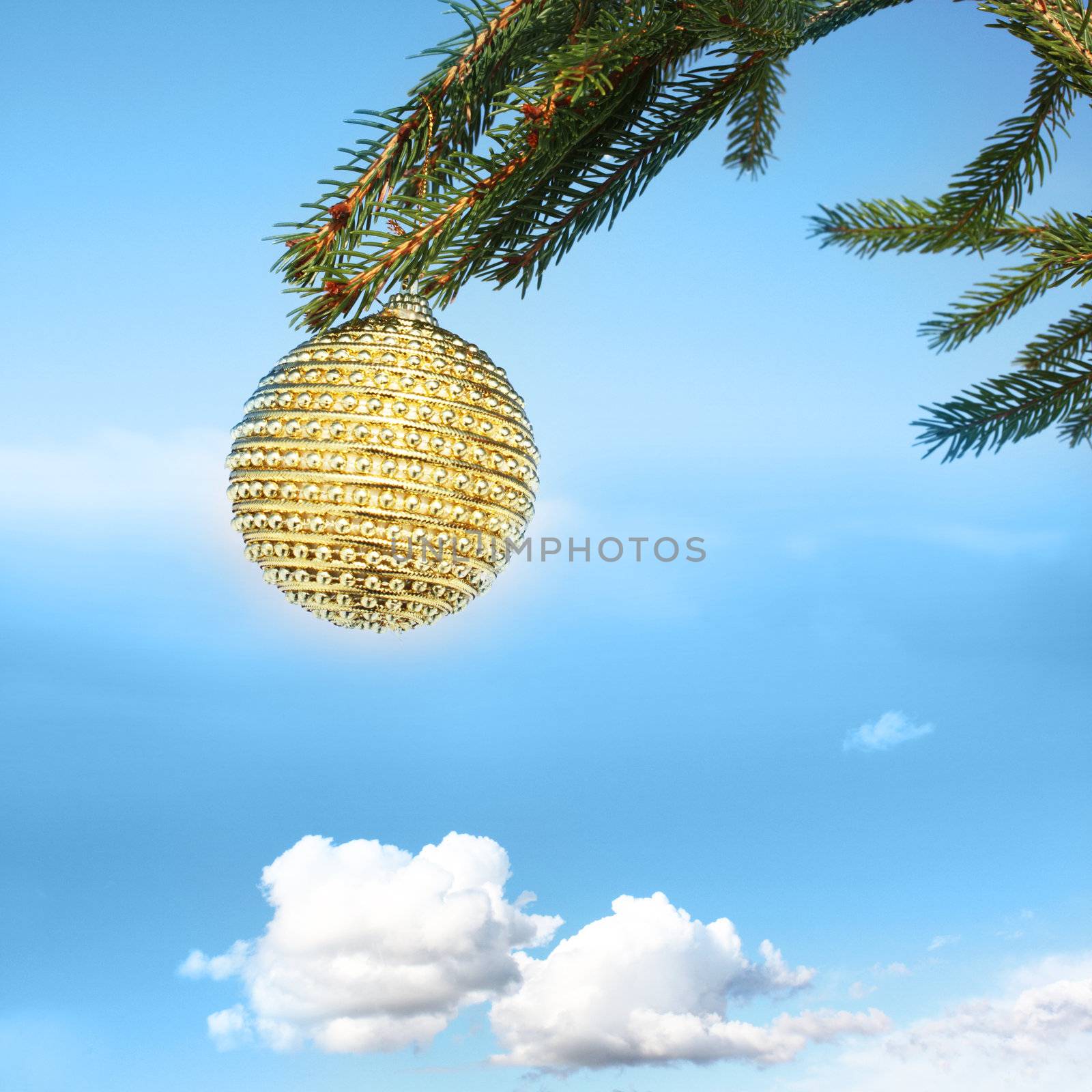 golden bauble on tree by photochecker