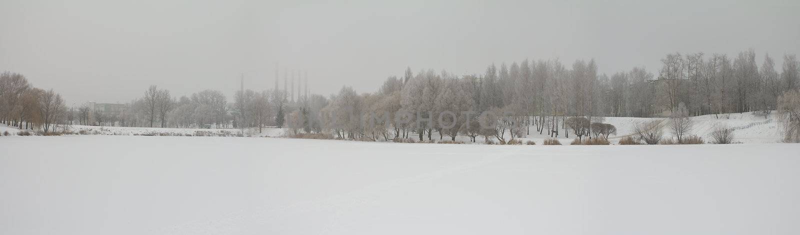 winter landscape panorama by Alekcey