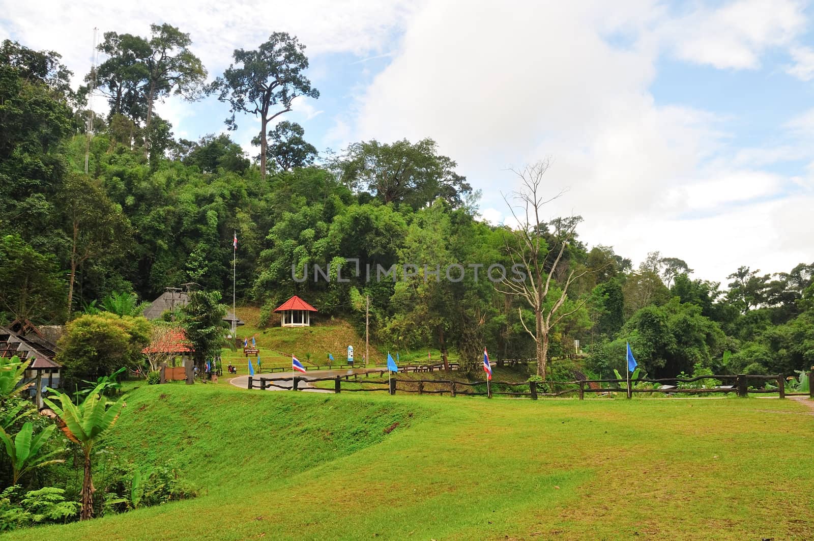 "poo soi dao" national park, thailand