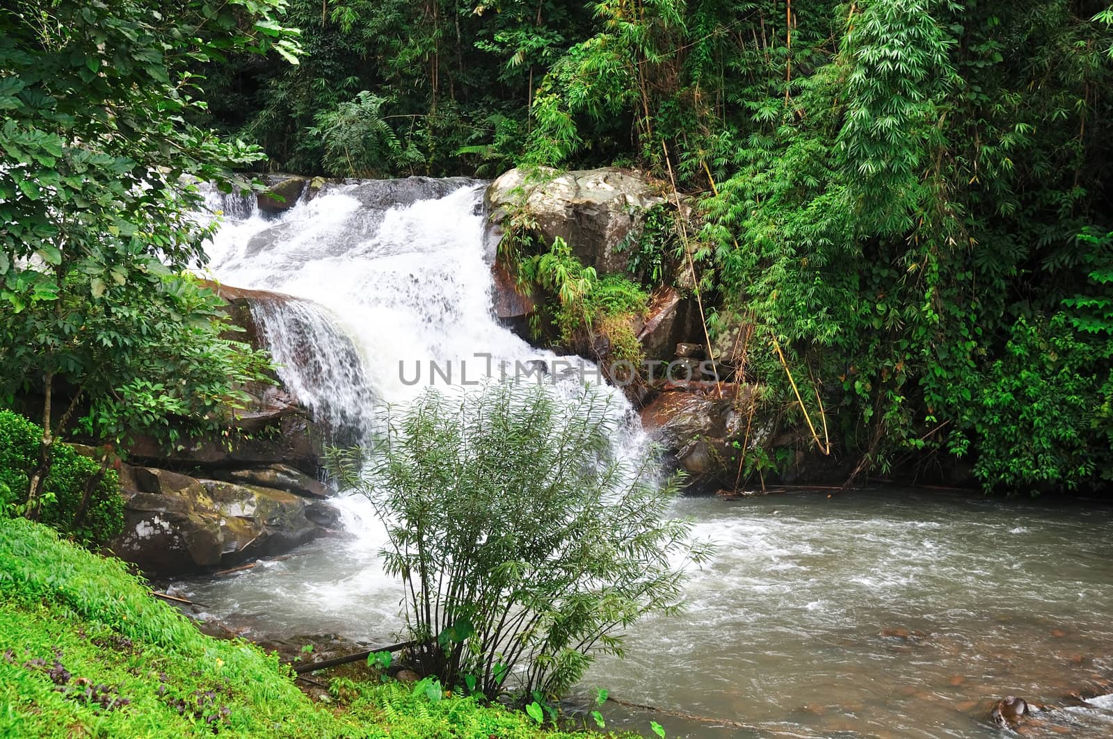 waterfall at "poo soi dao" national park, thailand