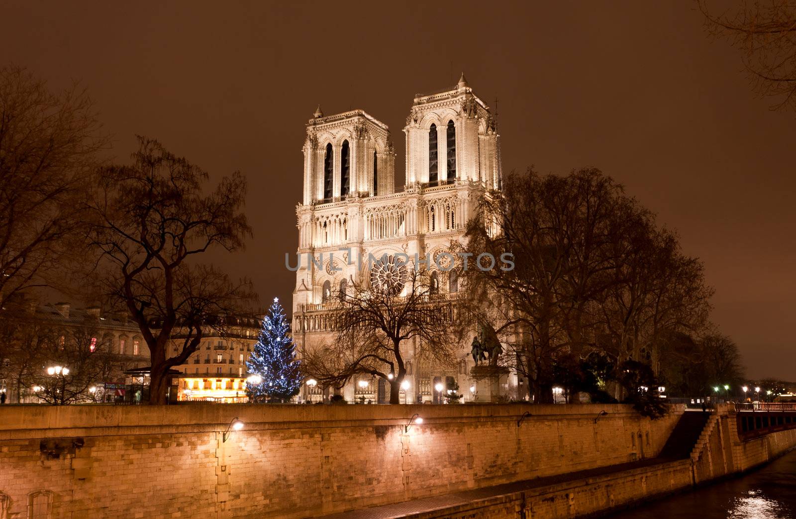 The famous Notre Dame at night in Paris, France