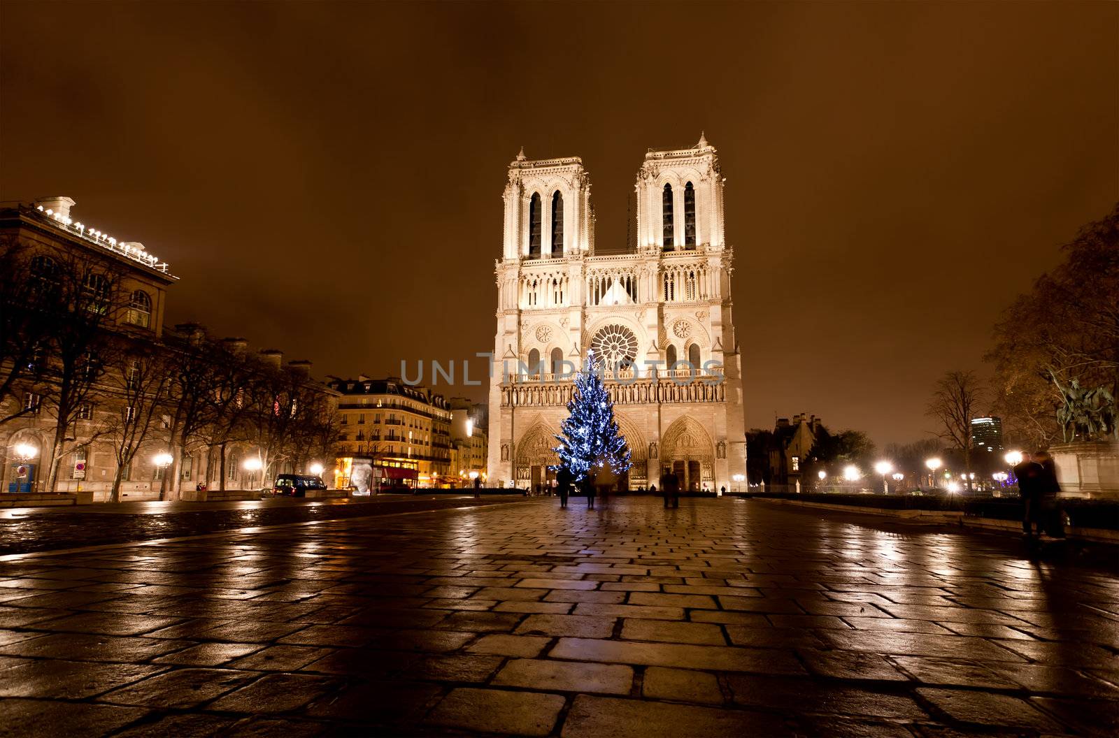The famous Notre Dame at night in Paris by gary718