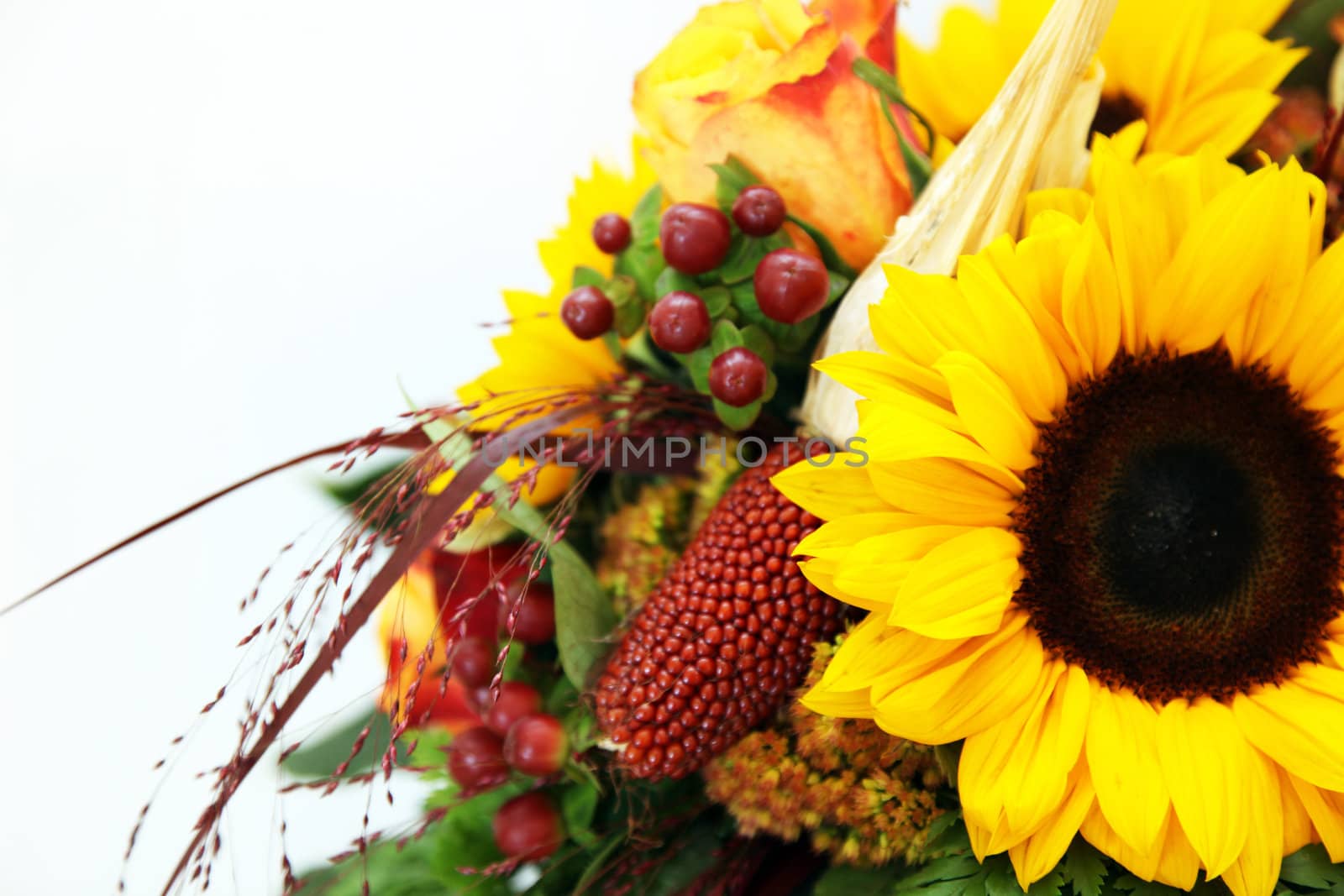 Bouquet of sunflowers  by Farina6000