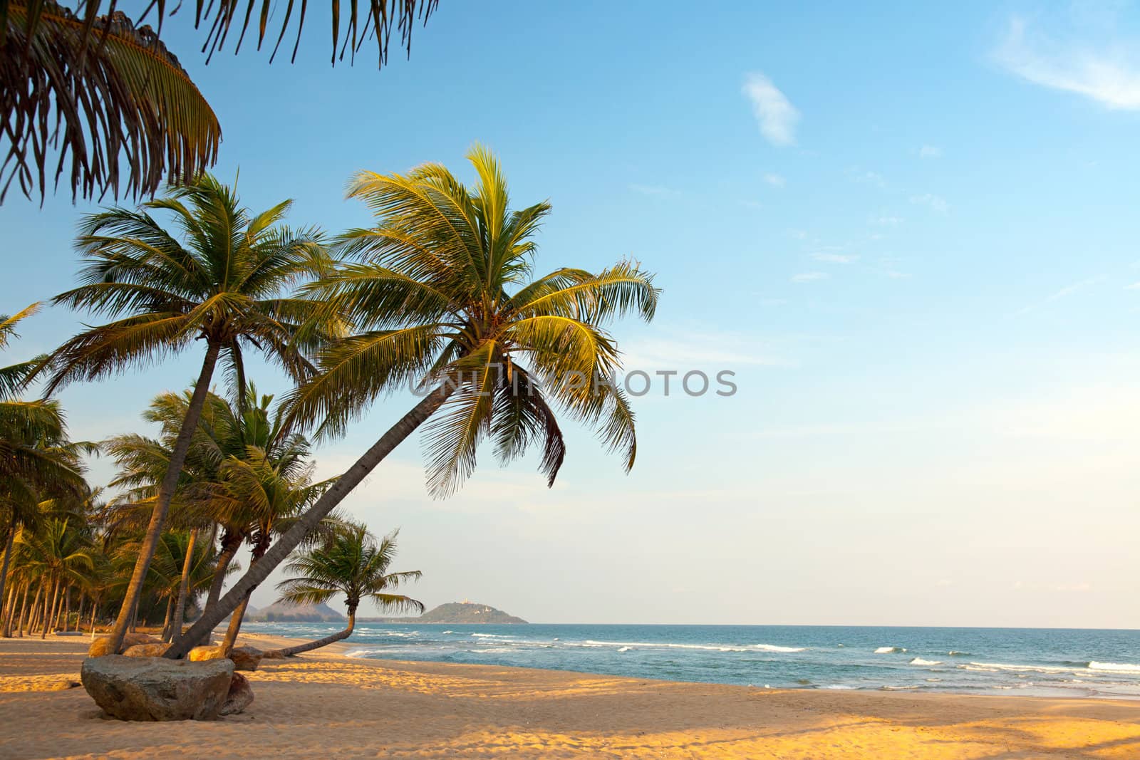 Exotic, beautiful and secluded beach with palm trees in the foreground and the sea. The beach is deserted
 