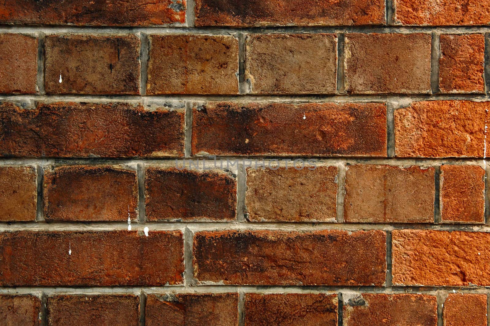 old bricks wall