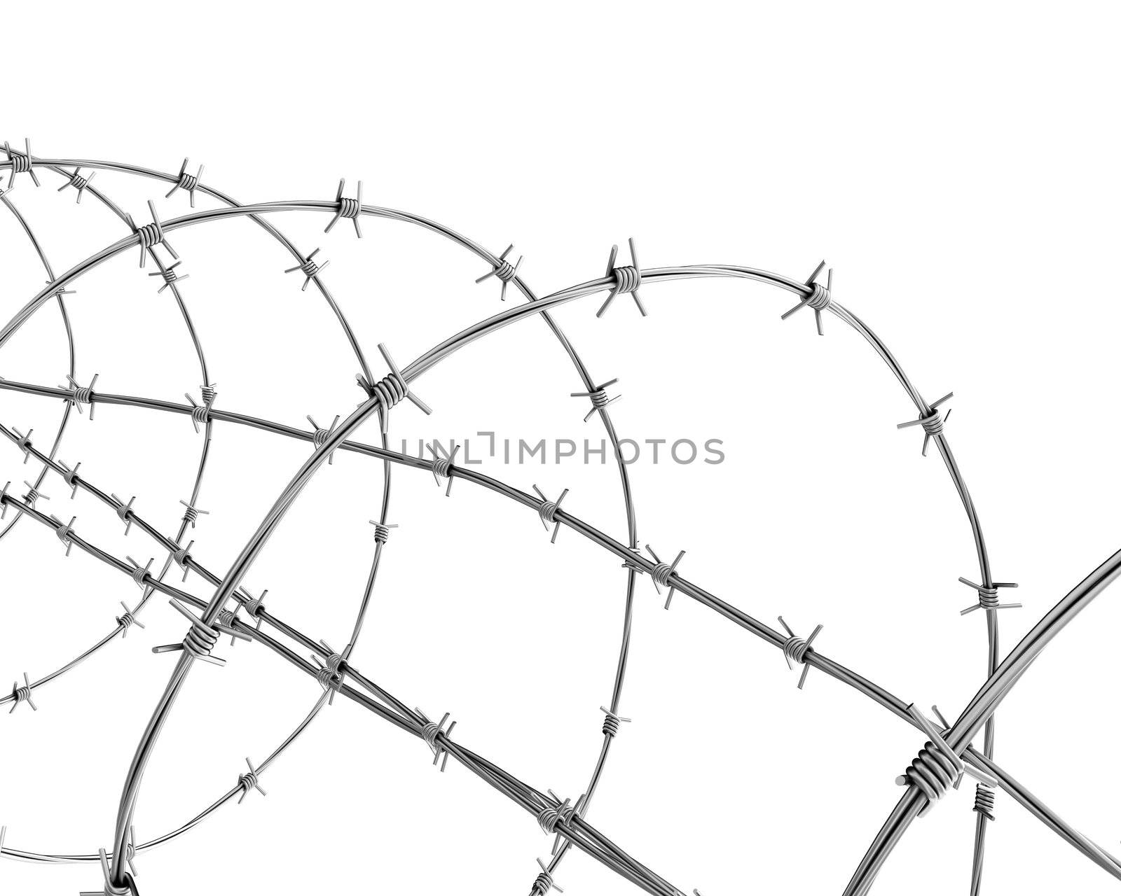 Barbed wire isolated on white closeup 