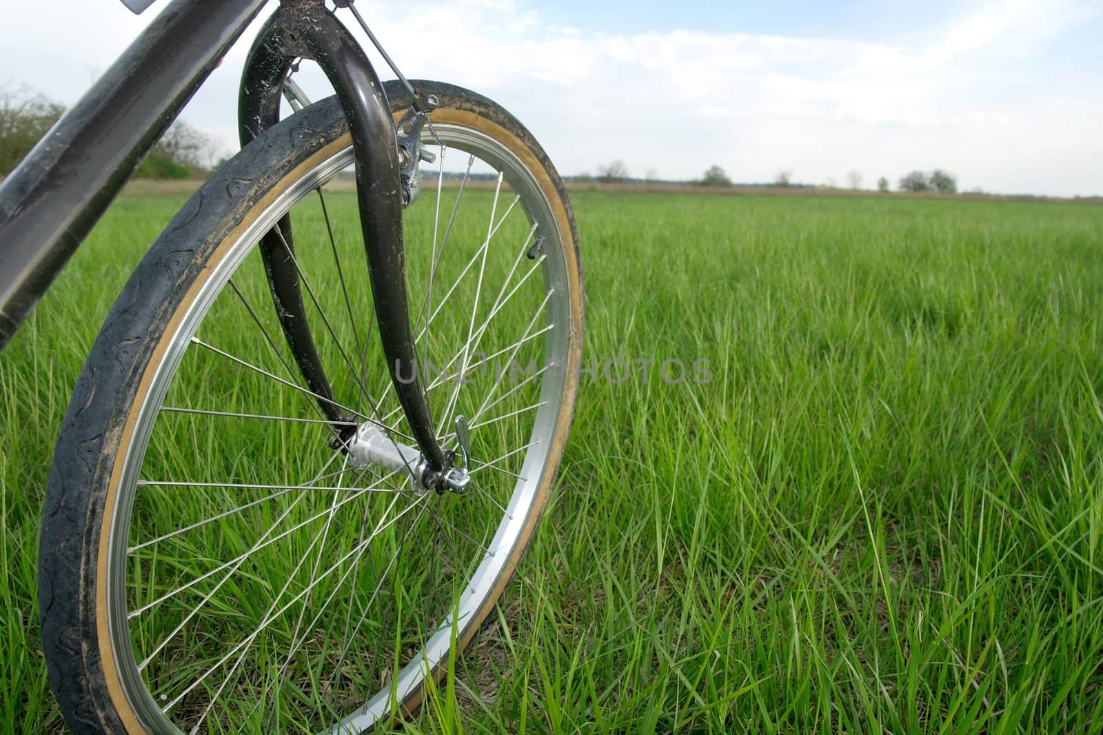 Wheel of a bicycle over a green grass field