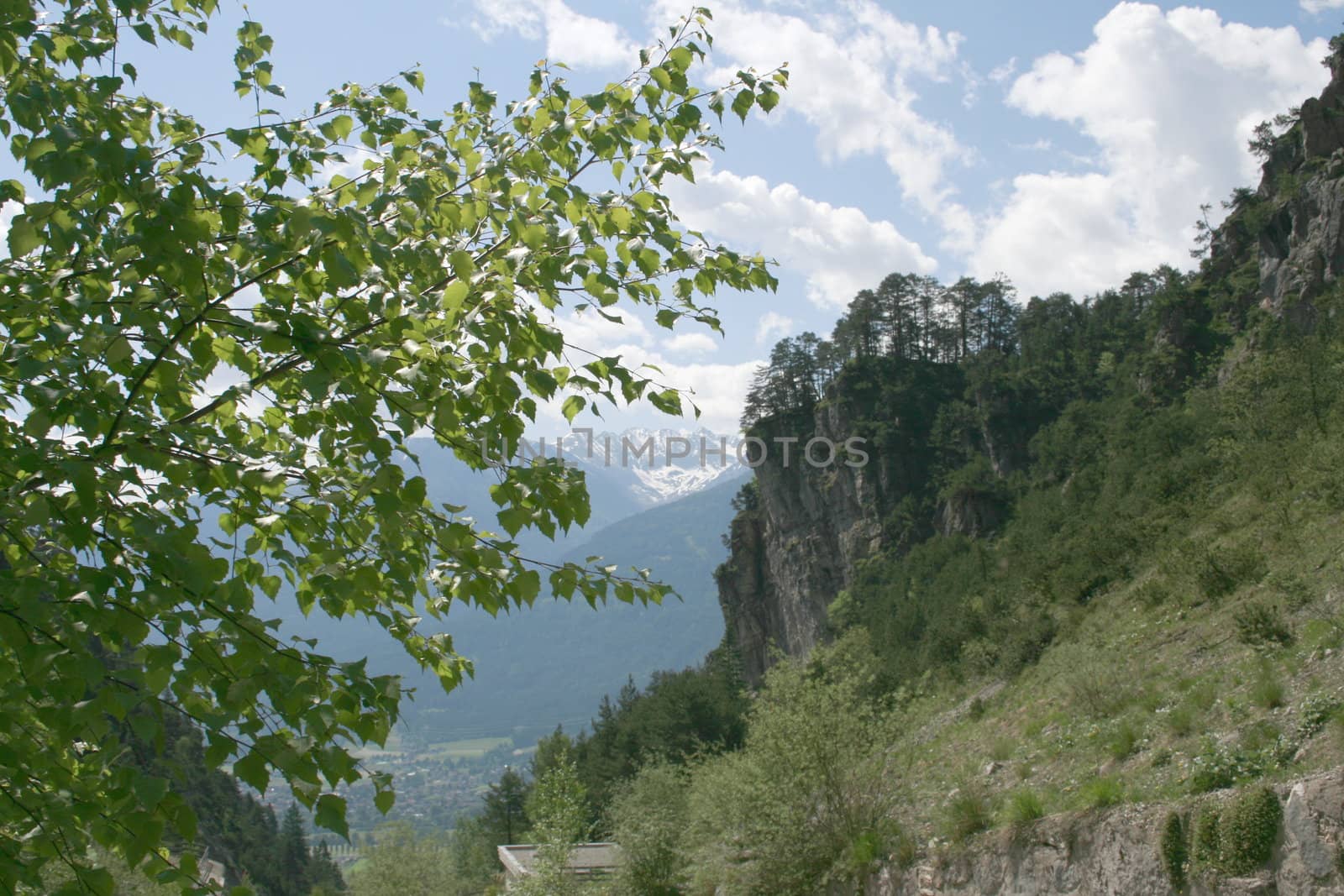 Look about the valley of the Inn, In the foreground a birch branch