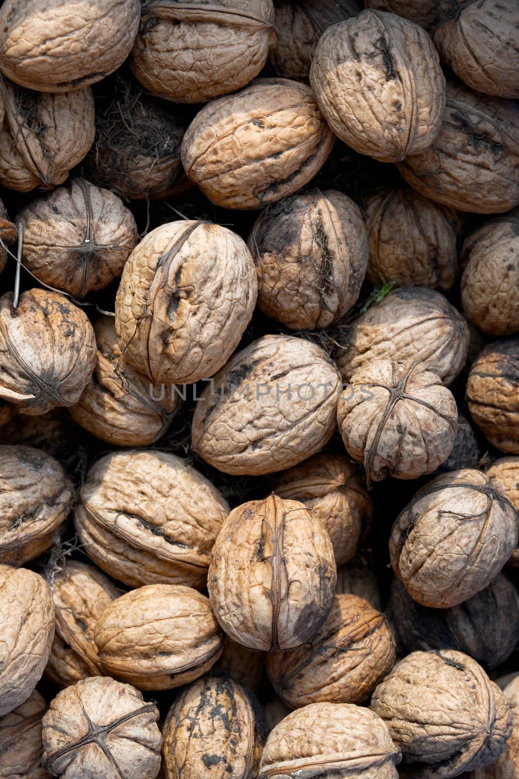 A pile of walnuts