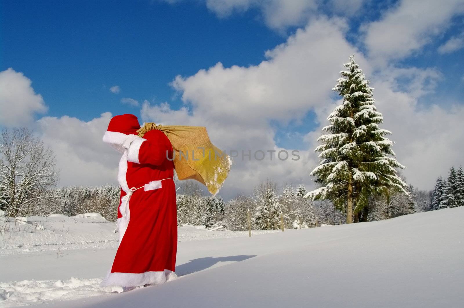 Santa Claus, Father Christmas in a beautiful winter landscape