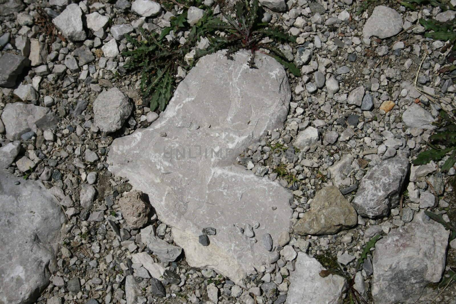Heart from a stone by koep
