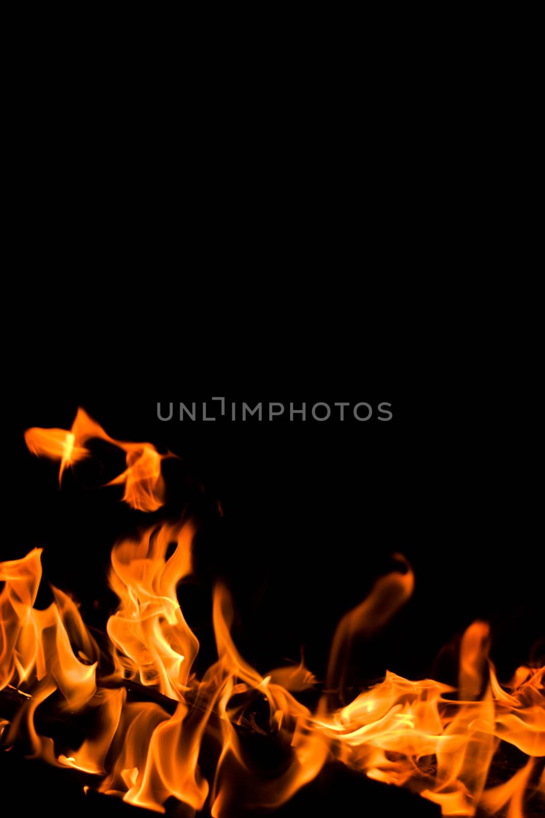 flame of a fire on a black background