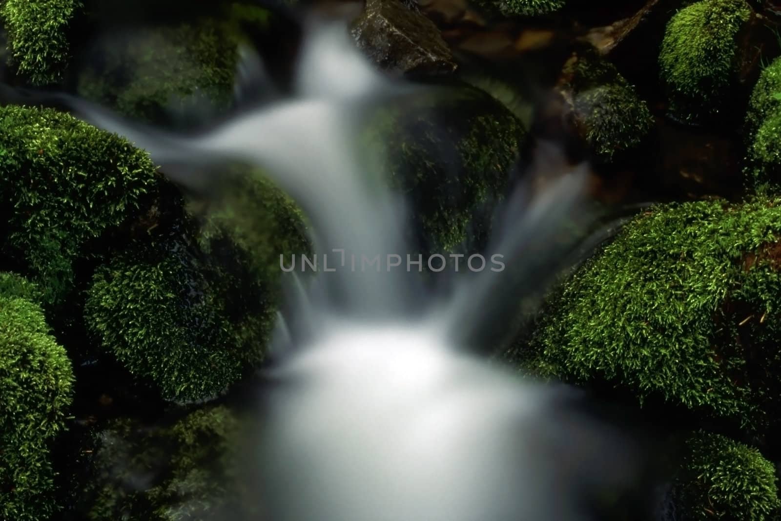 Beautiful stream in mountain. Green grass cover stones